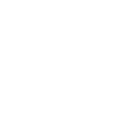 prev button